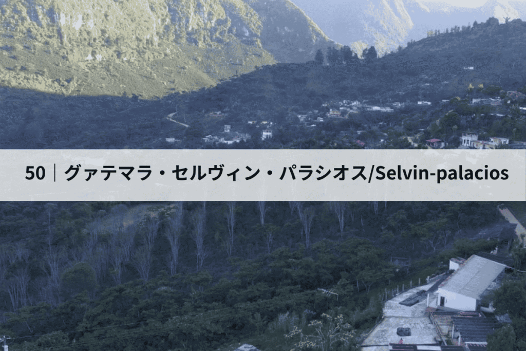 グァテマラ・セルヴィン・パラシオス
