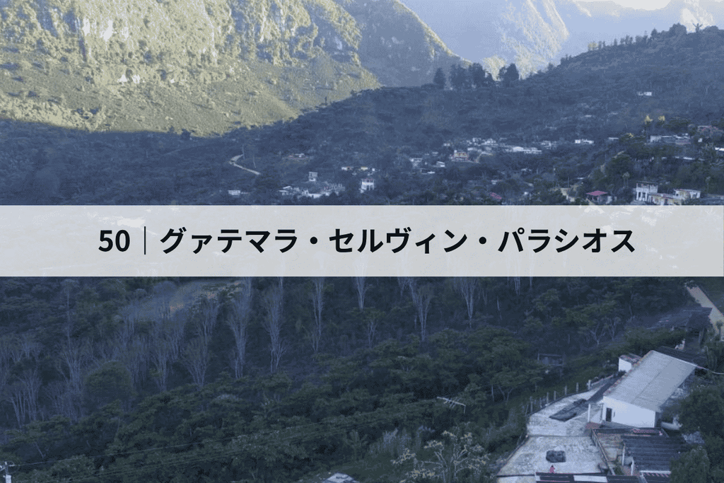 グァテマラ・セルヴィン・パラシオス