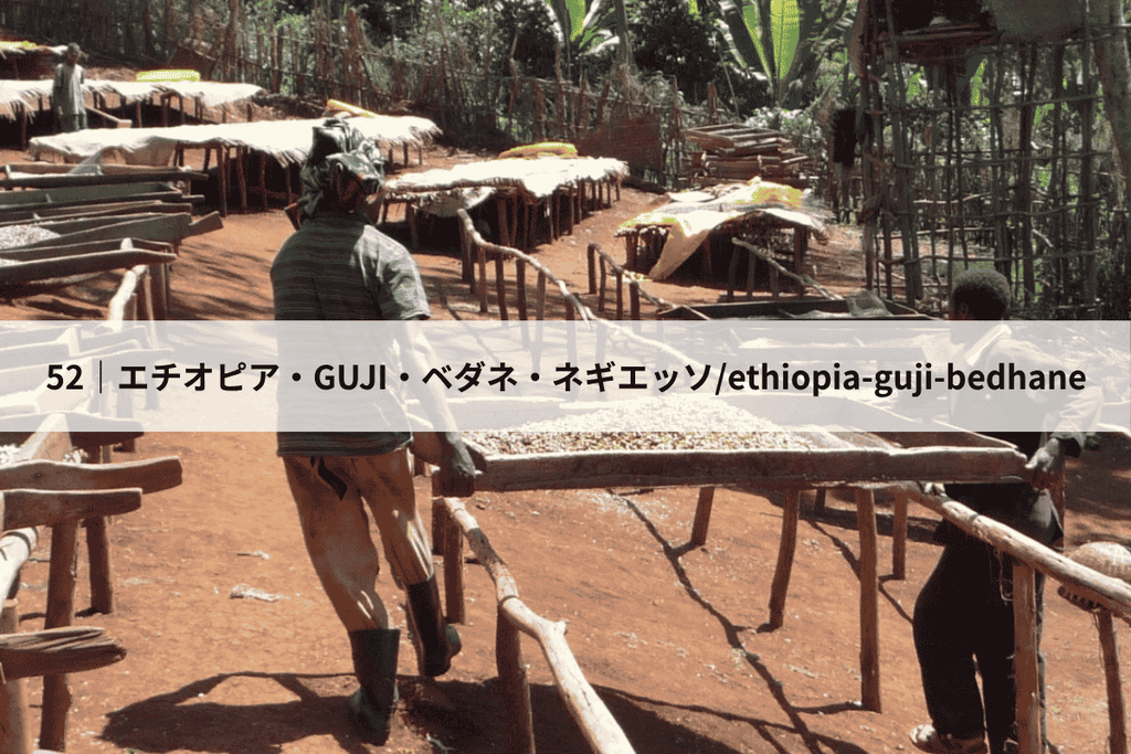 52_エチオピア・GUJI