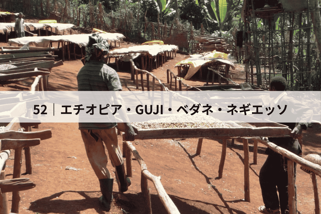 エチオピア・GUJI ベダネネギエッソ