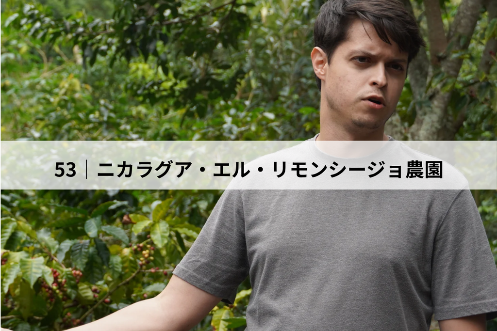 53_ニカラグア・エル・リモンシージョ (3)