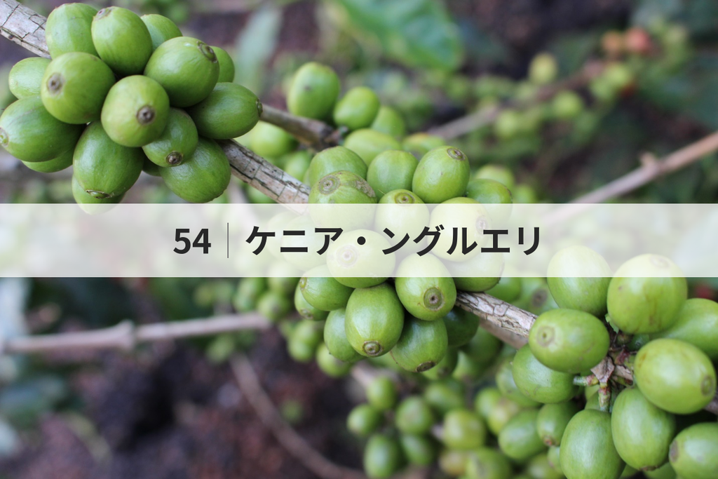 54_ケニア・ングルエリ